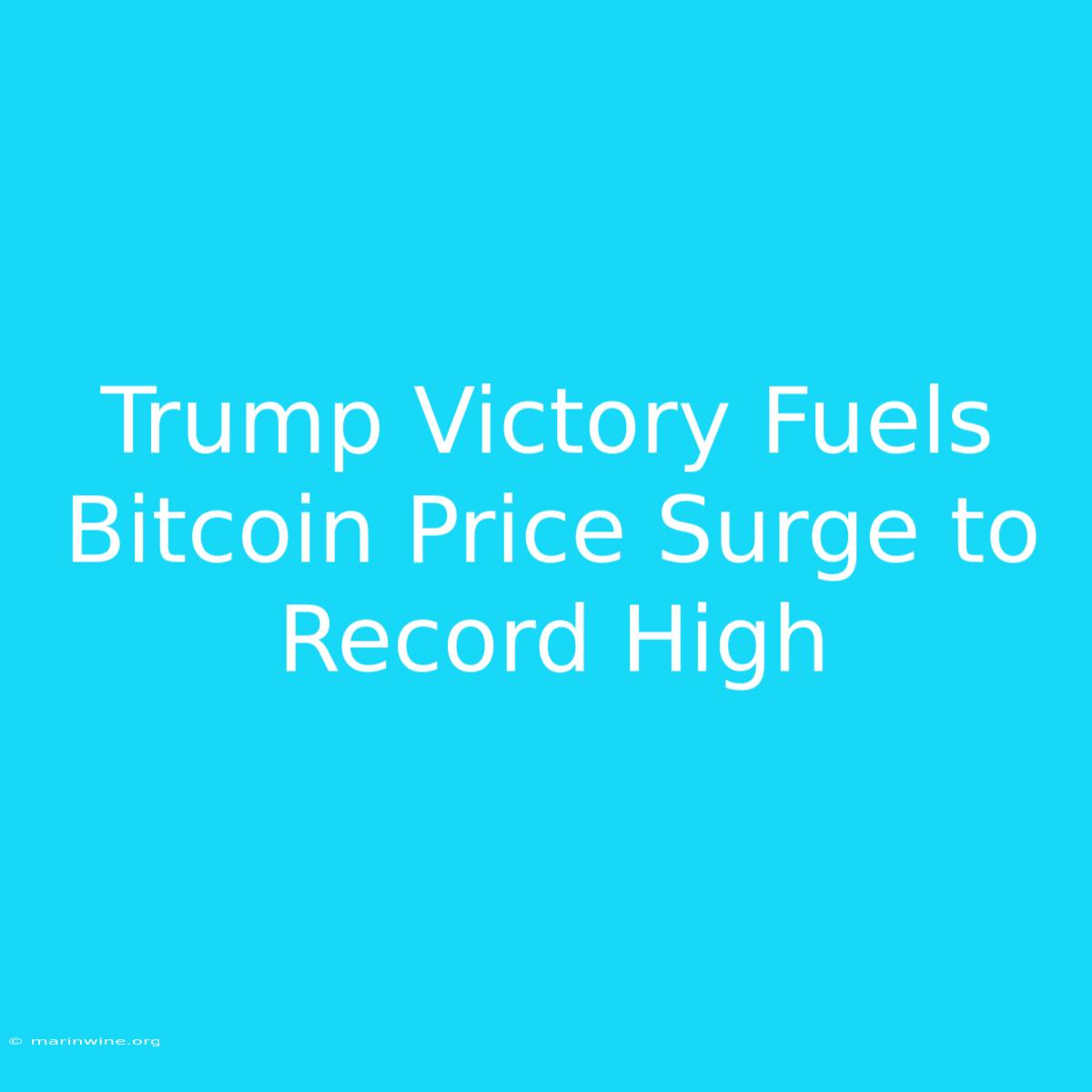 Trump Victory Fuels Bitcoin Price Surge To Record High 