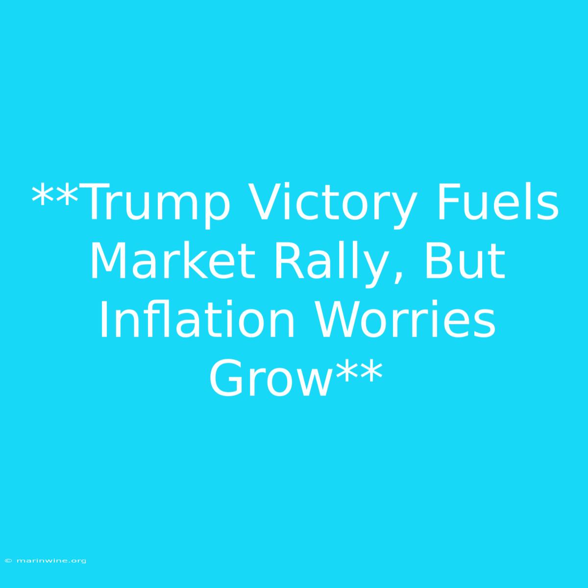 **Trump Victory Fuels Market Rally, But Inflation Worries Grow** 