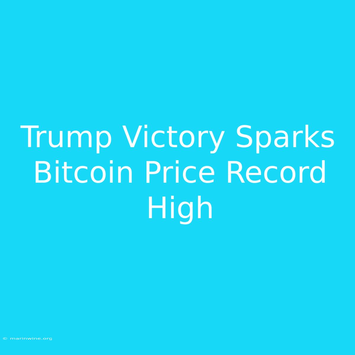 Trump Victory Sparks Bitcoin Price Record High