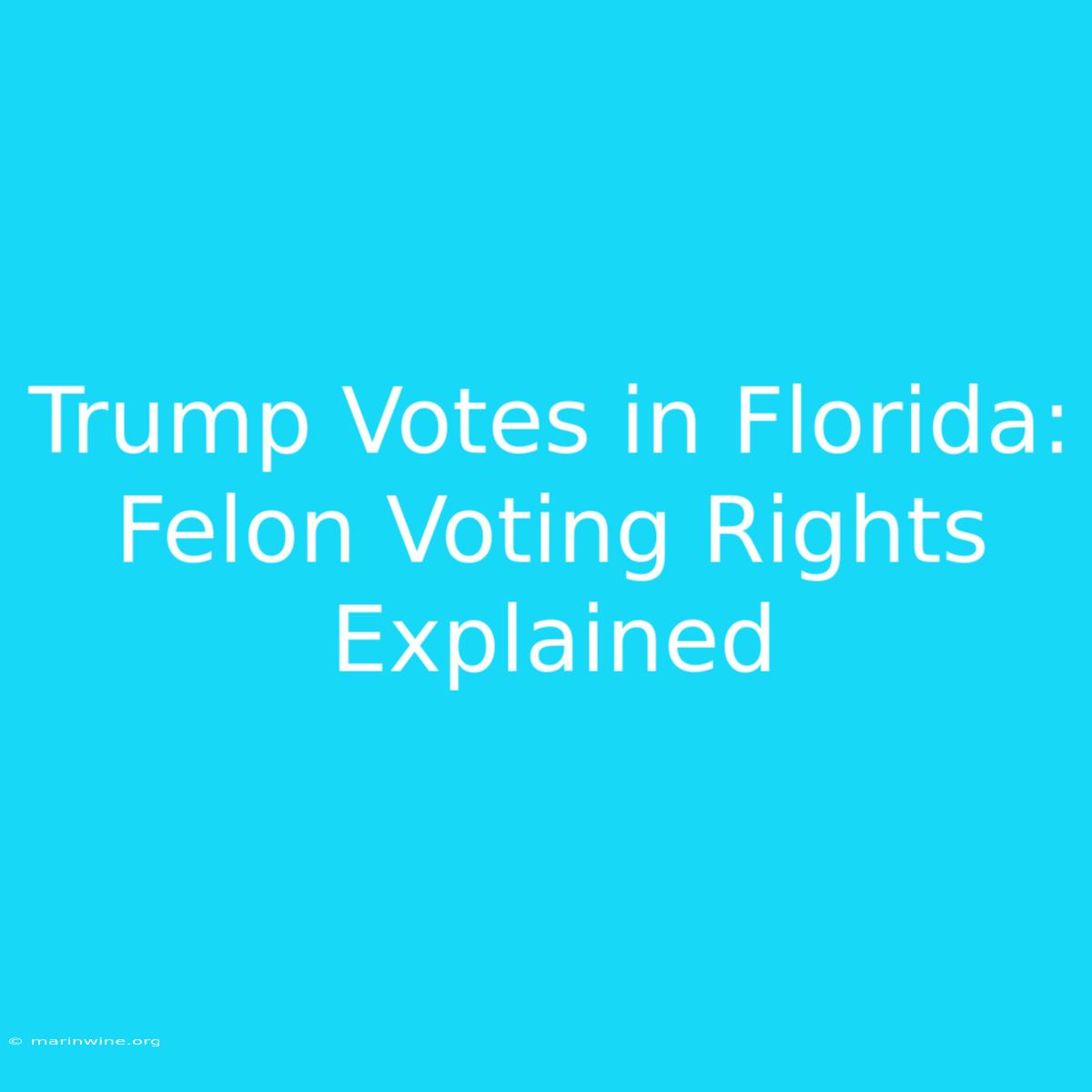 Trump Votes In Florida: Felon Voting Rights Explained