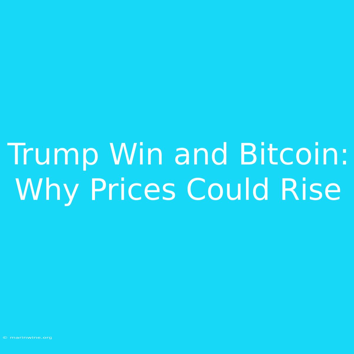 Trump Win And Bitcoin: Why Prices Could Rise