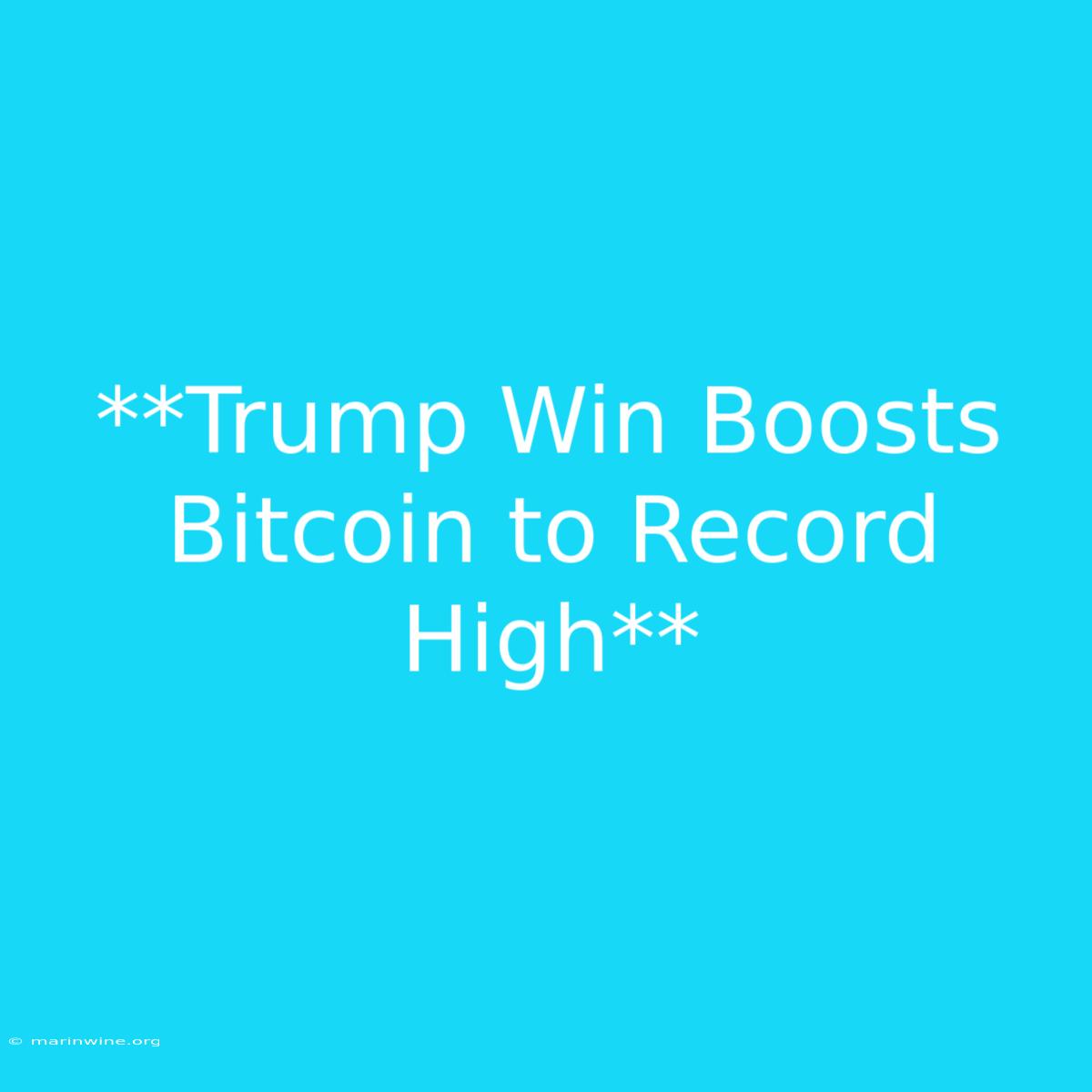 **Trump Win Boosts Bitcoin To Record High**