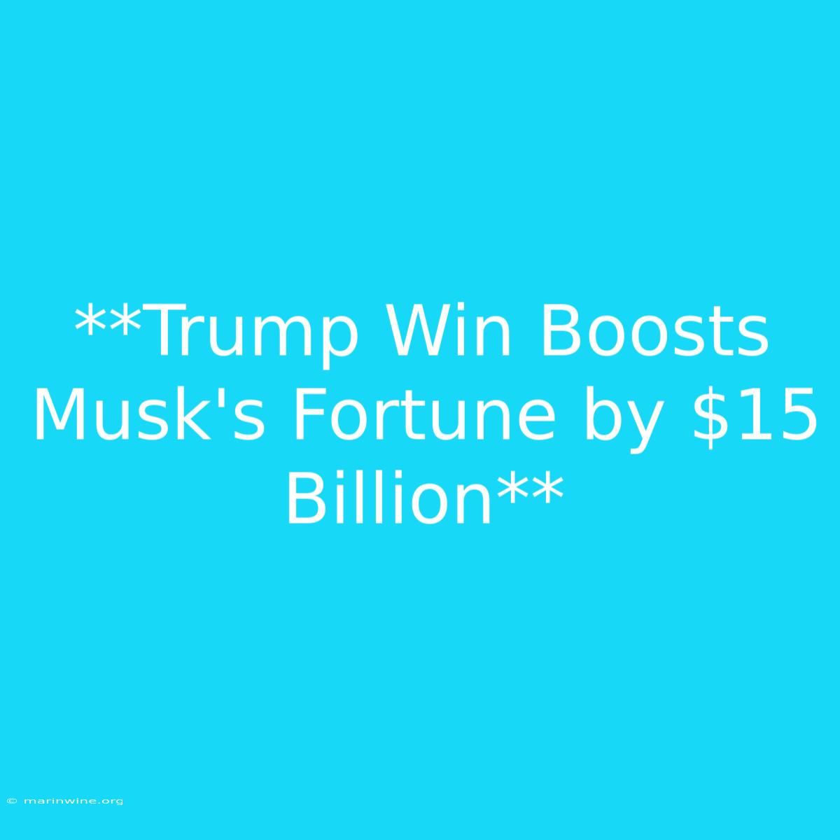 **Trump Win Boosts Musk's Fortune By $15 Billion**