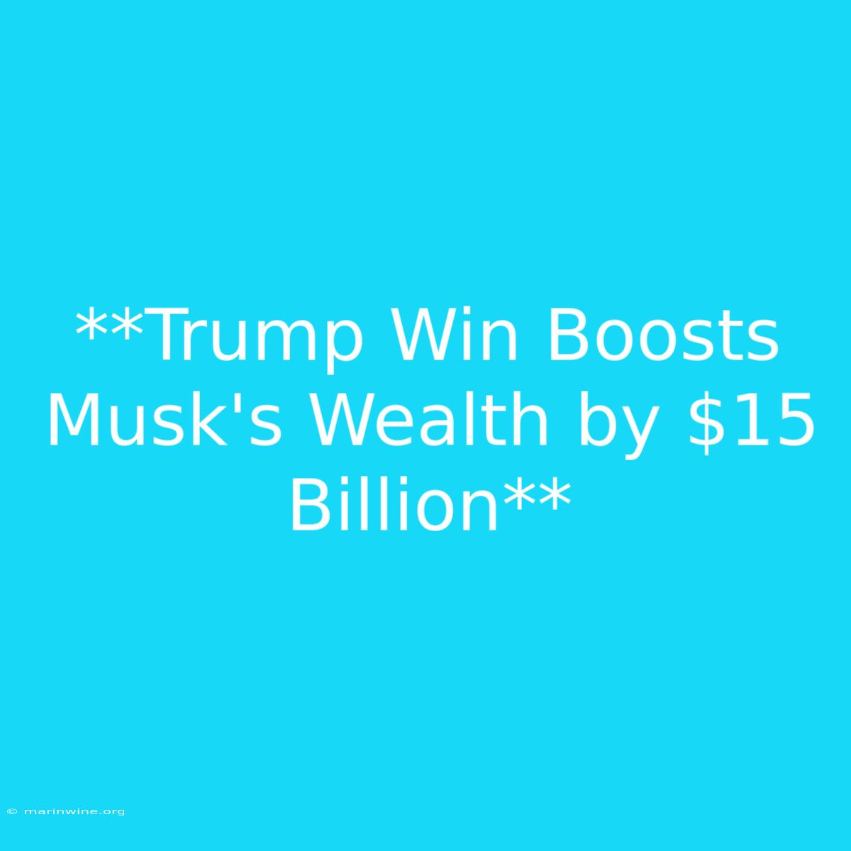 **Trump Win Boosts Musk's Wealth By $15 Billion**