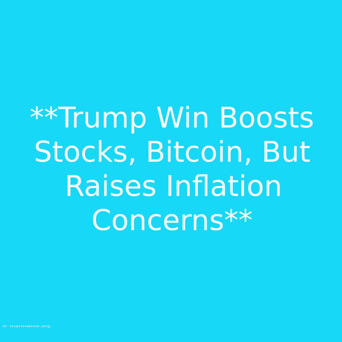 **Trump Win Boosts Stocks, Bitcoin, But Raises Inflation Concerns**