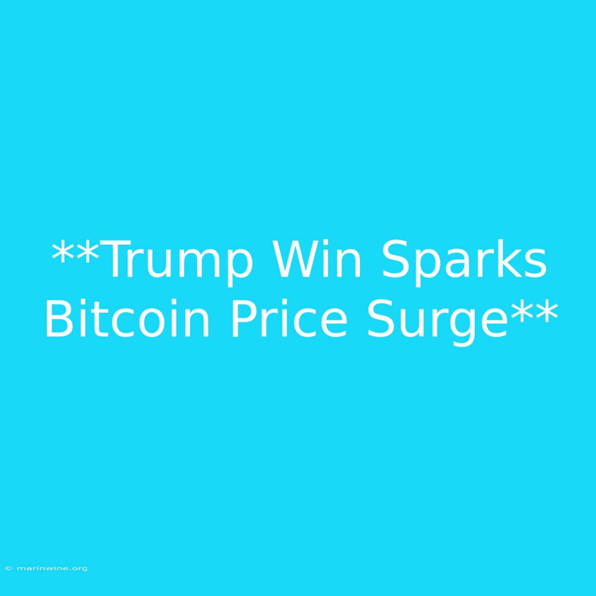 **Trump Win Sparks Bitcoin Price Surge**