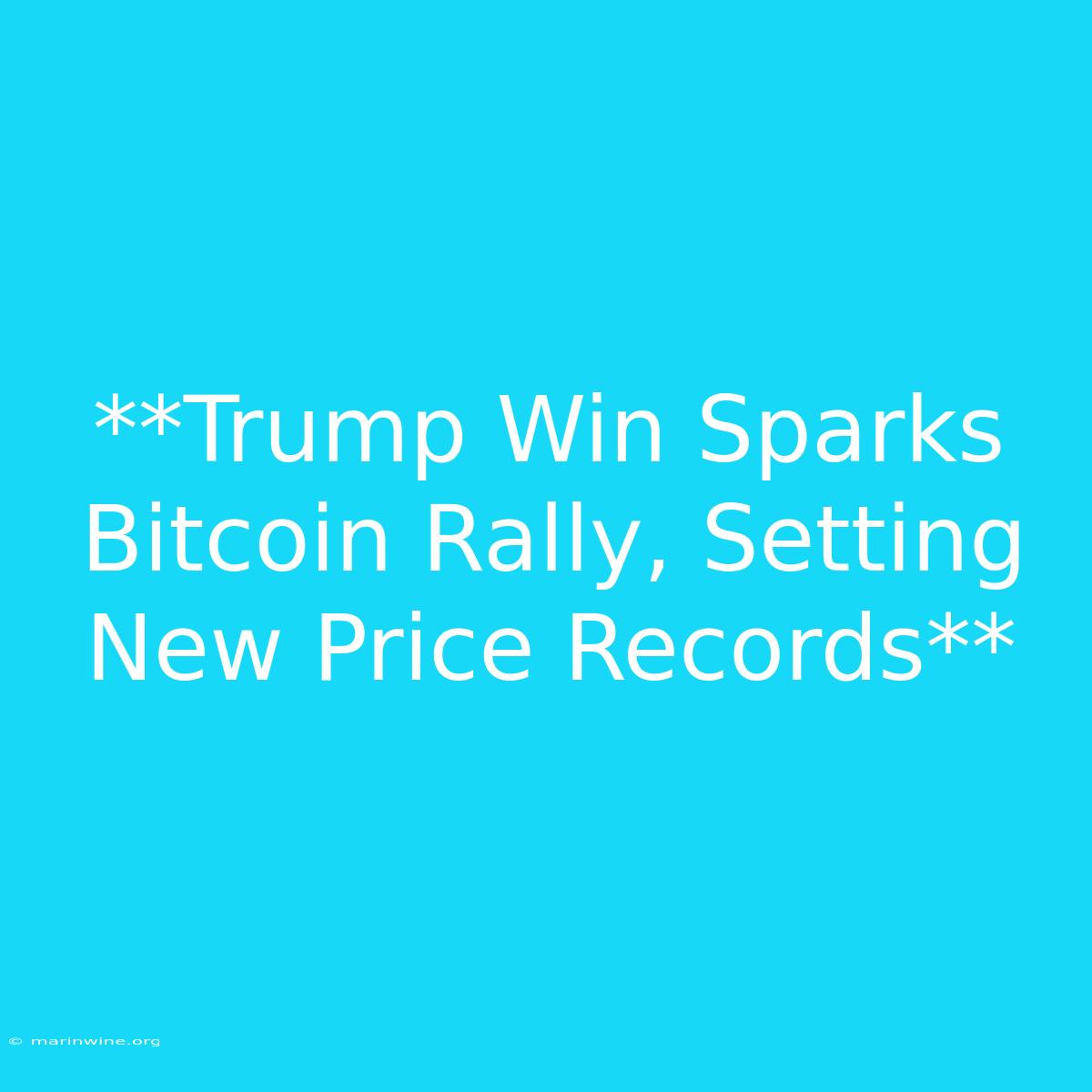 **Trump Win Sparks Bitcoin Rally, Setting New Price Records** 