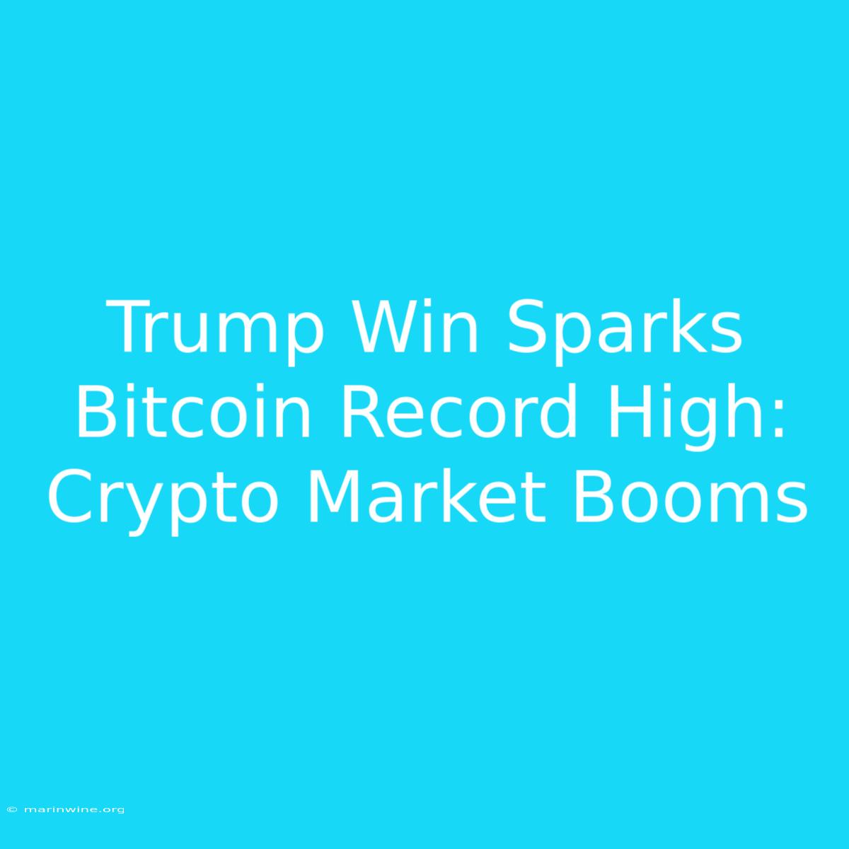 Trump Win Sparks Bitcoin Record High: Crypto Market Booms