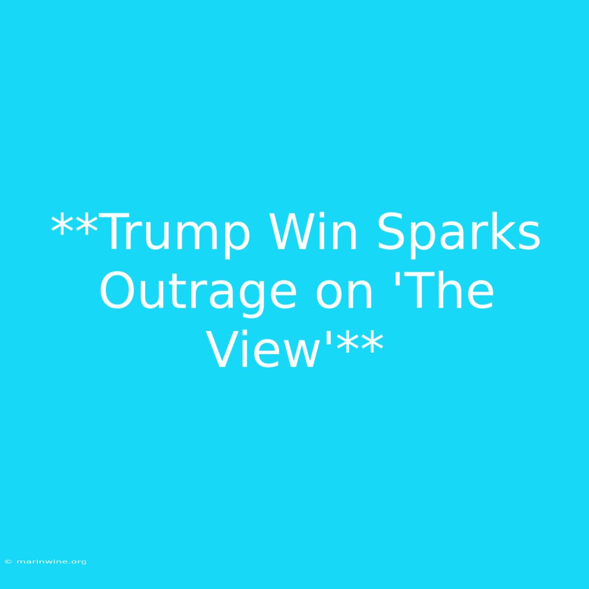 **Trump Win Sparks Outrage On 'The View'**