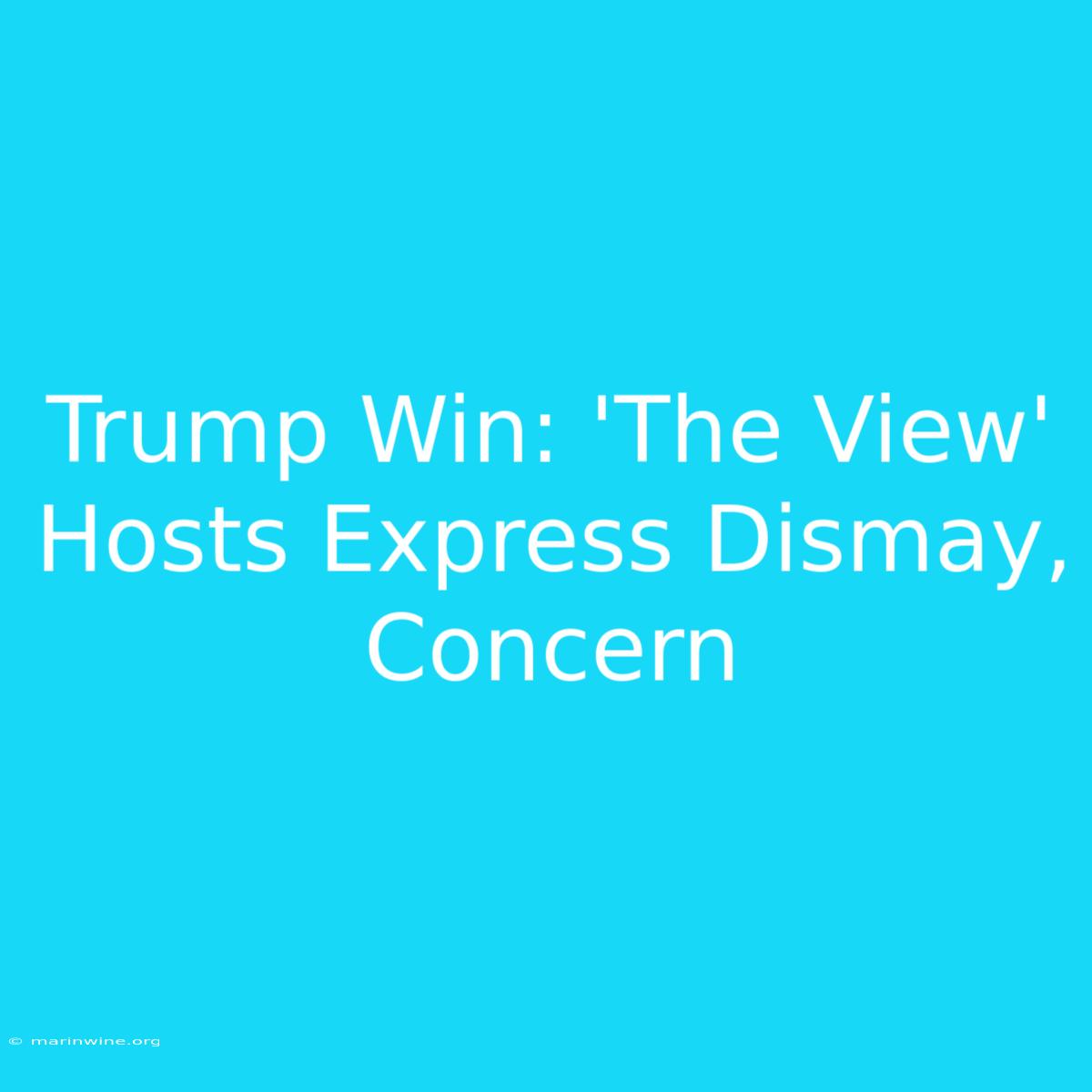 Trump Win: 'The View' Hosts Express Dismay, Concern 