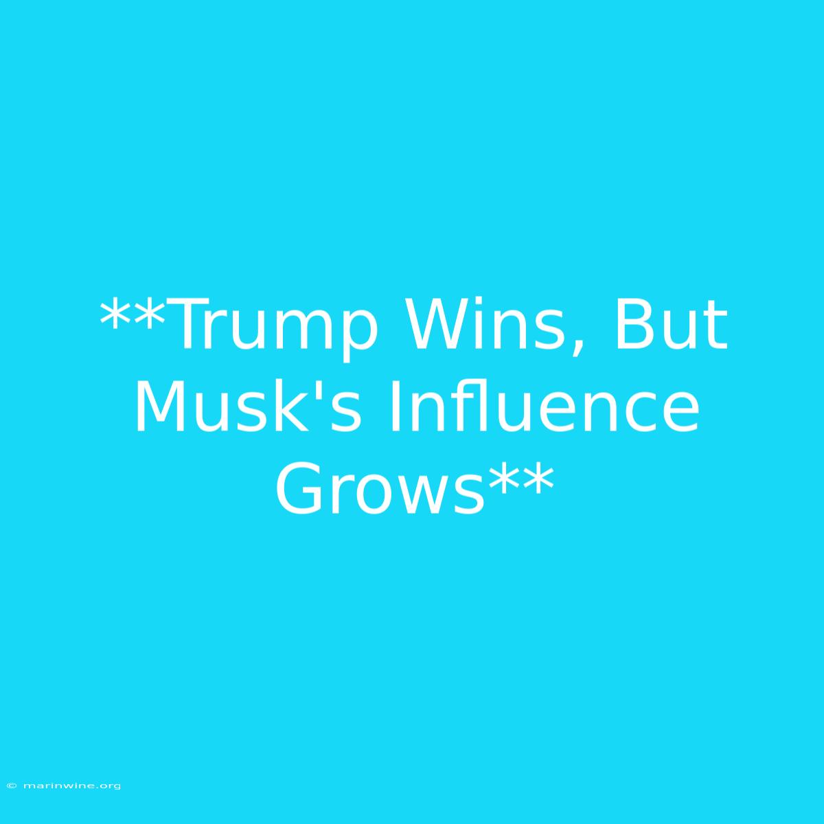 **Trump Wins, But Musk's Influence Grows** 