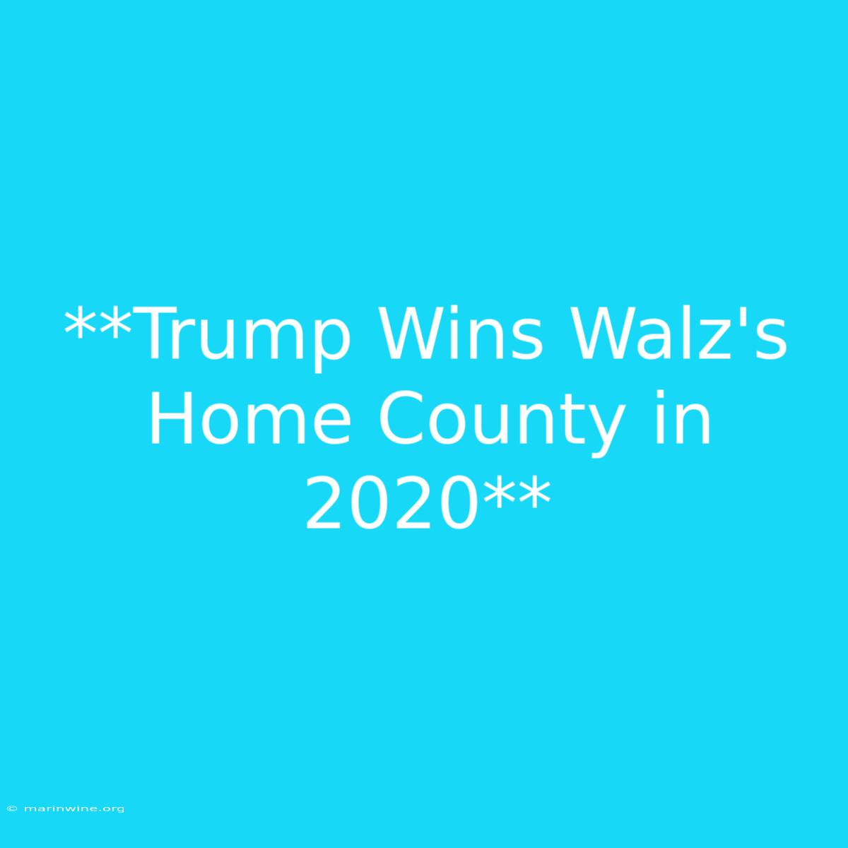 **Trump Wins Walz's Home County In 2020**