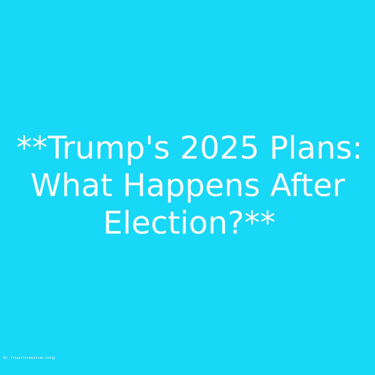 **Trump's 2025 Plans: What Happens After Election?**