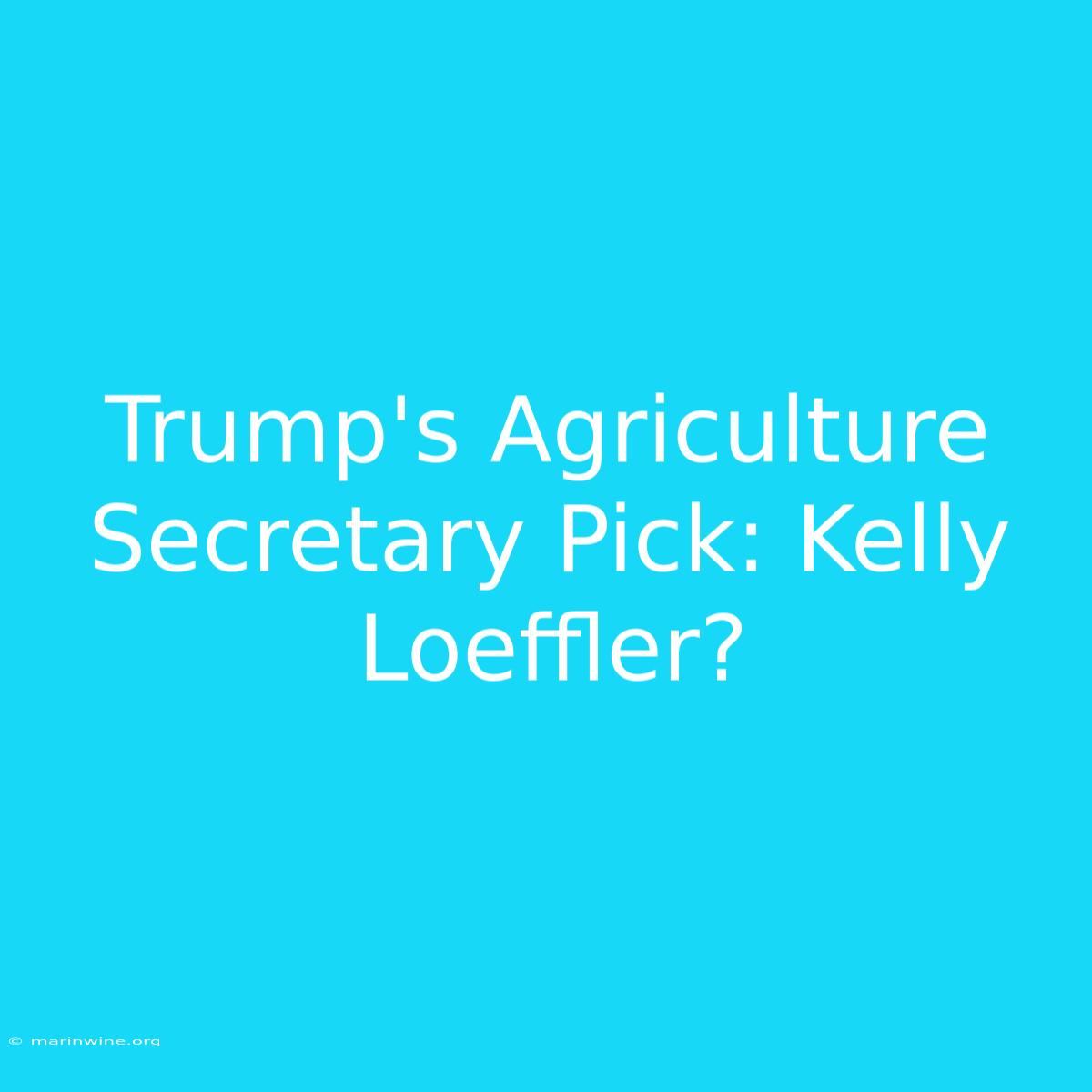 Trump's Agriculture Secretary Pick: Kelly Loeffler?