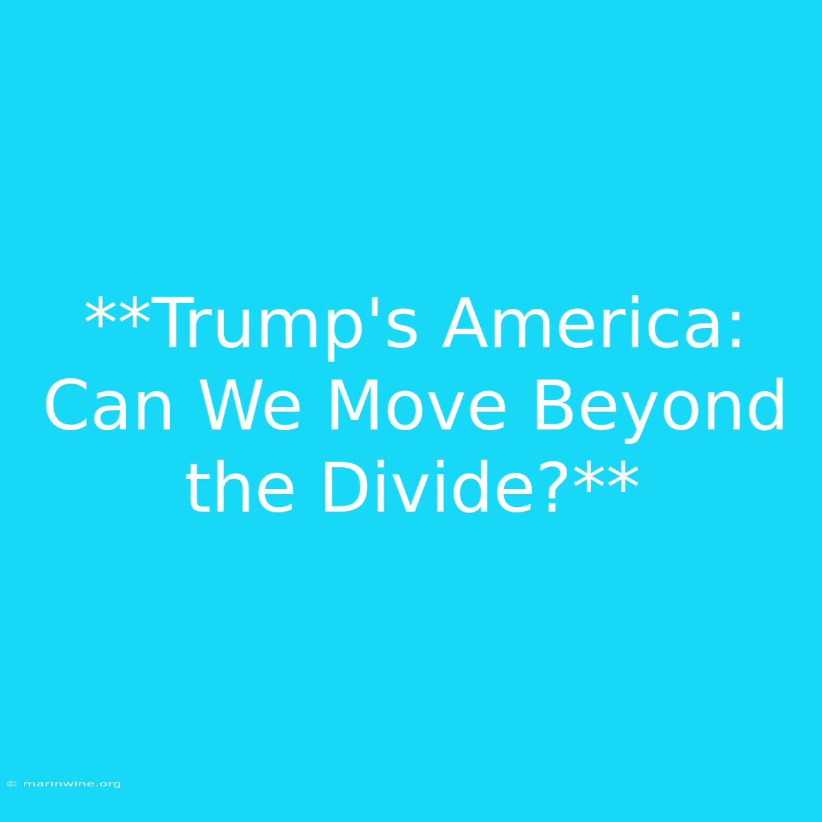 **Trump's America: Can We Move Beyond The Divide?** 