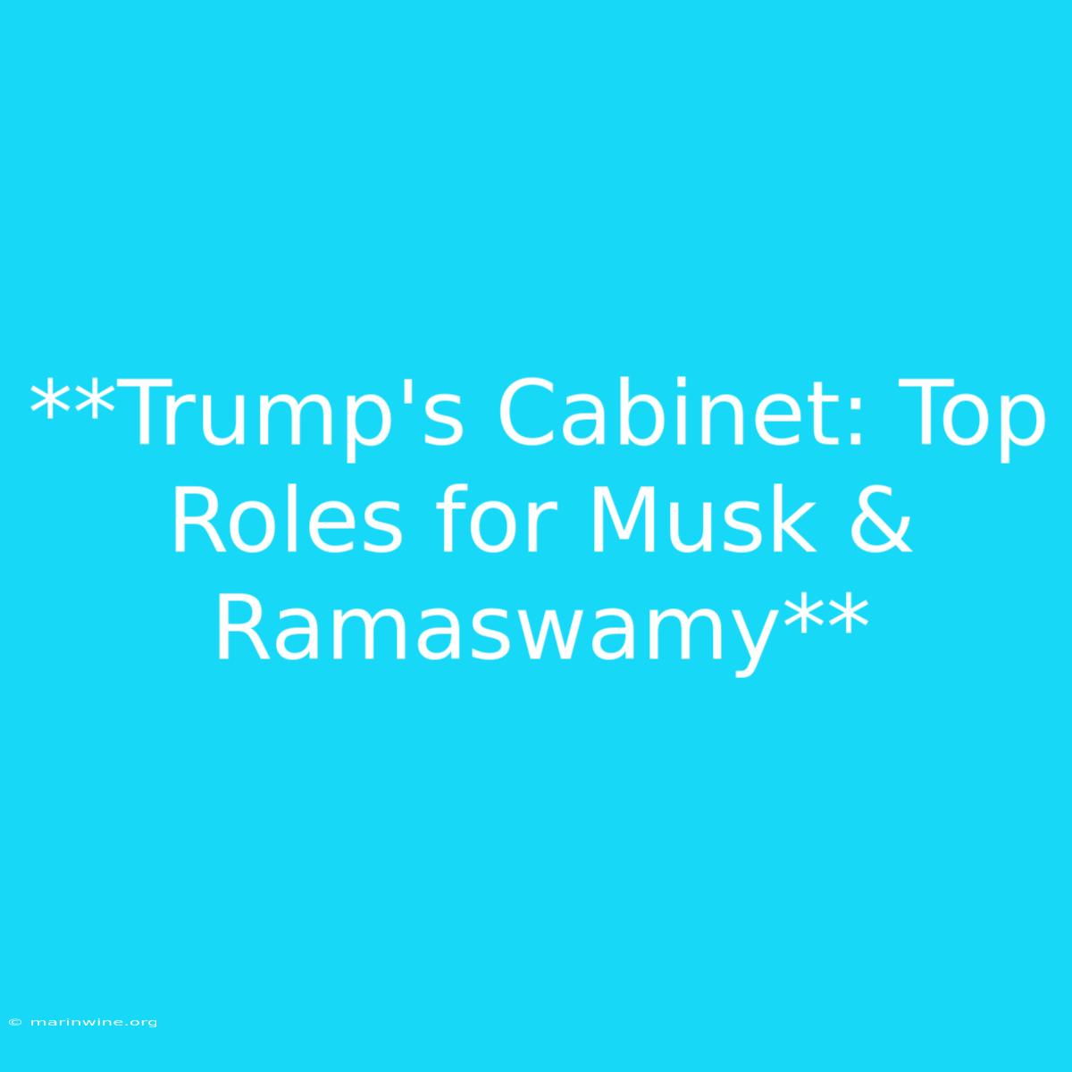 **Trump's Cabinet: Top Roles For Musk & Ramaswamy** 