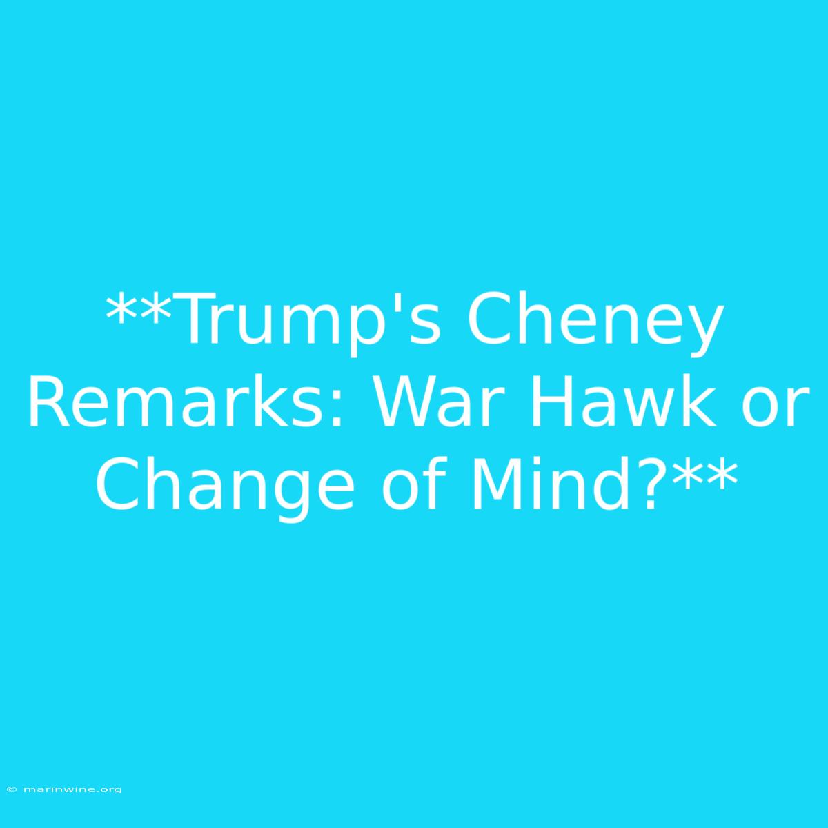 **Trump's Cheney Remarks: War Hawk Or Change Of Mind?**