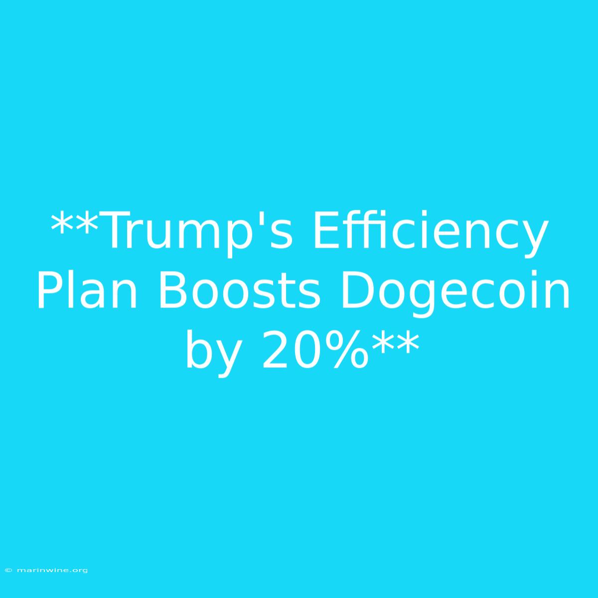 **Trump's Efficiency Plan Boosts Dogecoin By 20%**