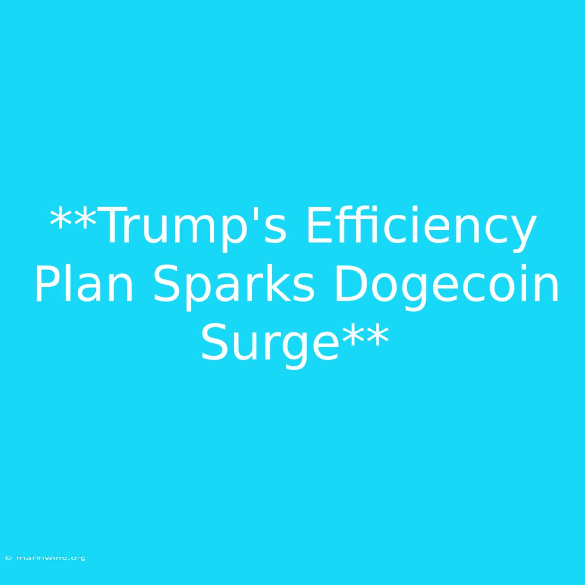 **Trump's Efficiency Plan Sparks Dogecoin Surge**