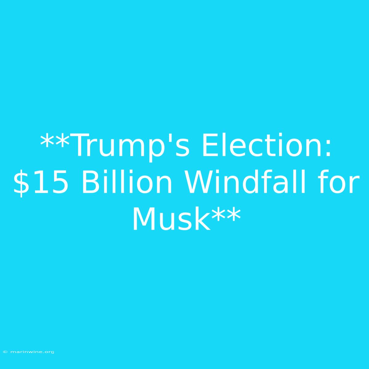 **Trump's Election: $15 Billion Windfall For Musk** 