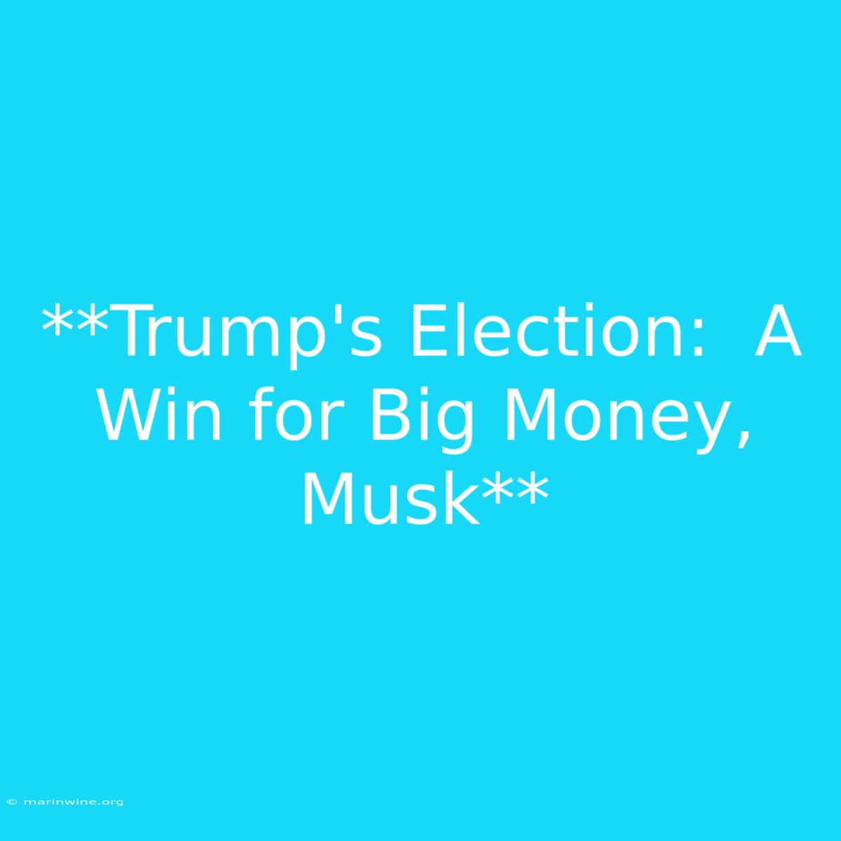 **Trump's Election:  A Win For Big Money, Musk** 