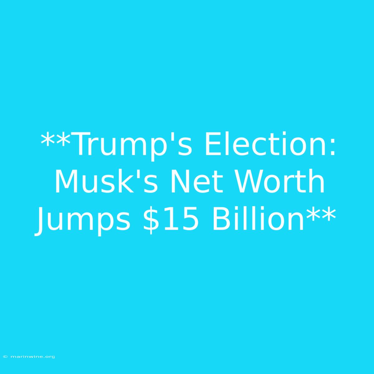 **Trump's Election: Musk's Net Worth Jumps $15 Billion** 