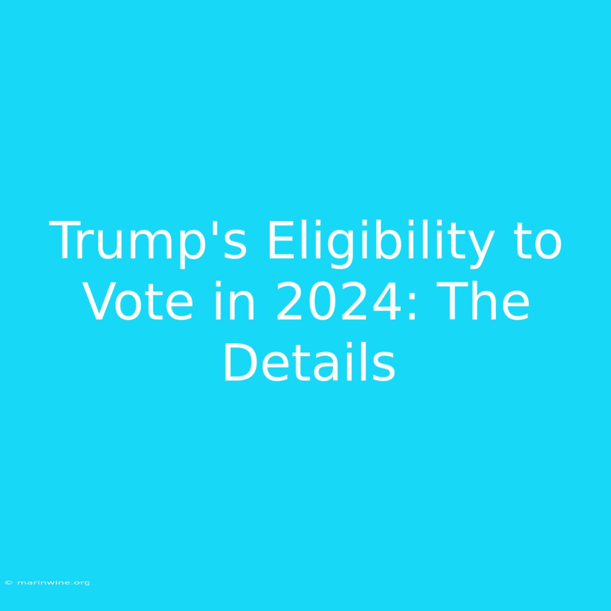 Trump's Eligibility To Vote In 2024: The Details 