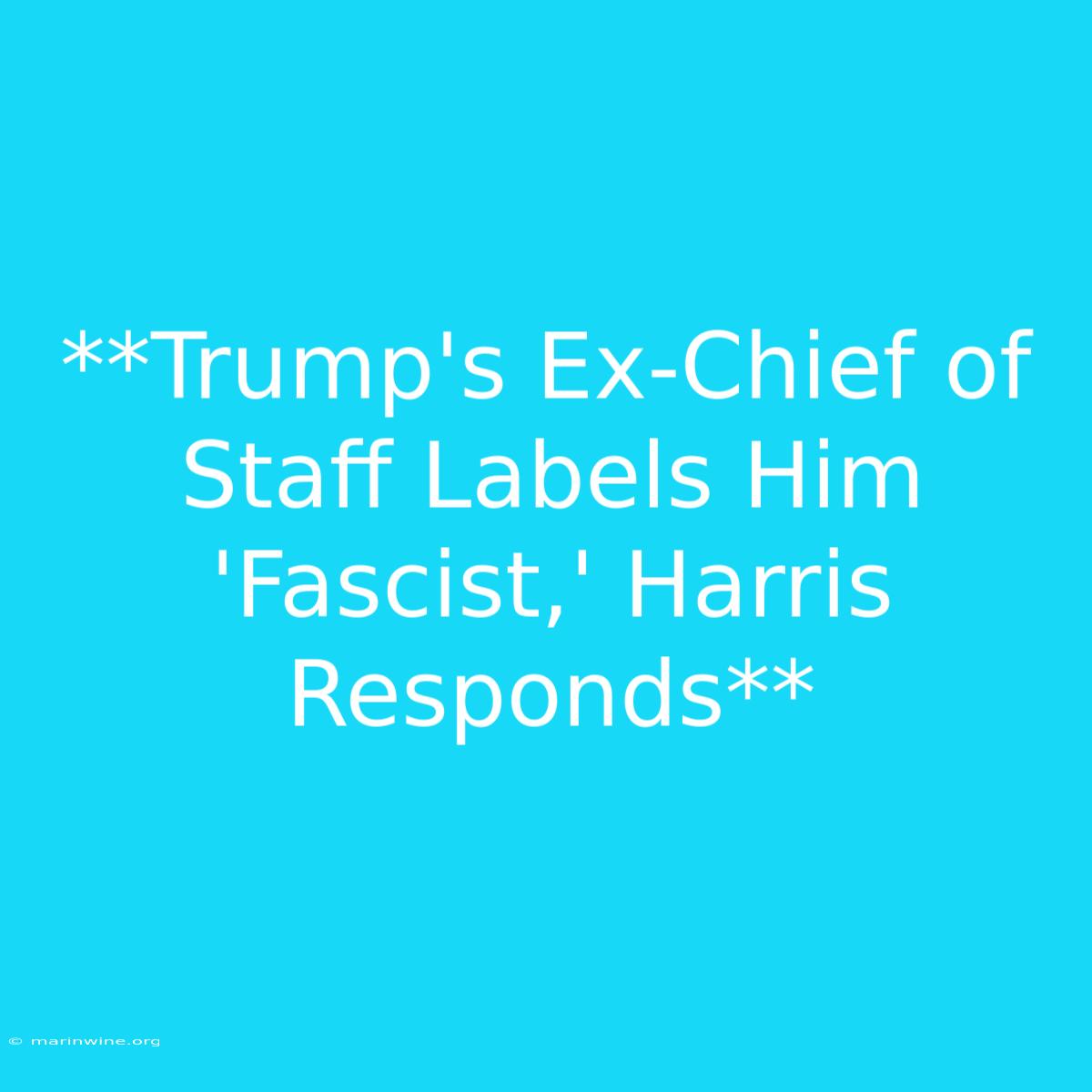 **Trump's Ex-Chief Of Staff Labels Him 'Fascist,' Harris Responds**