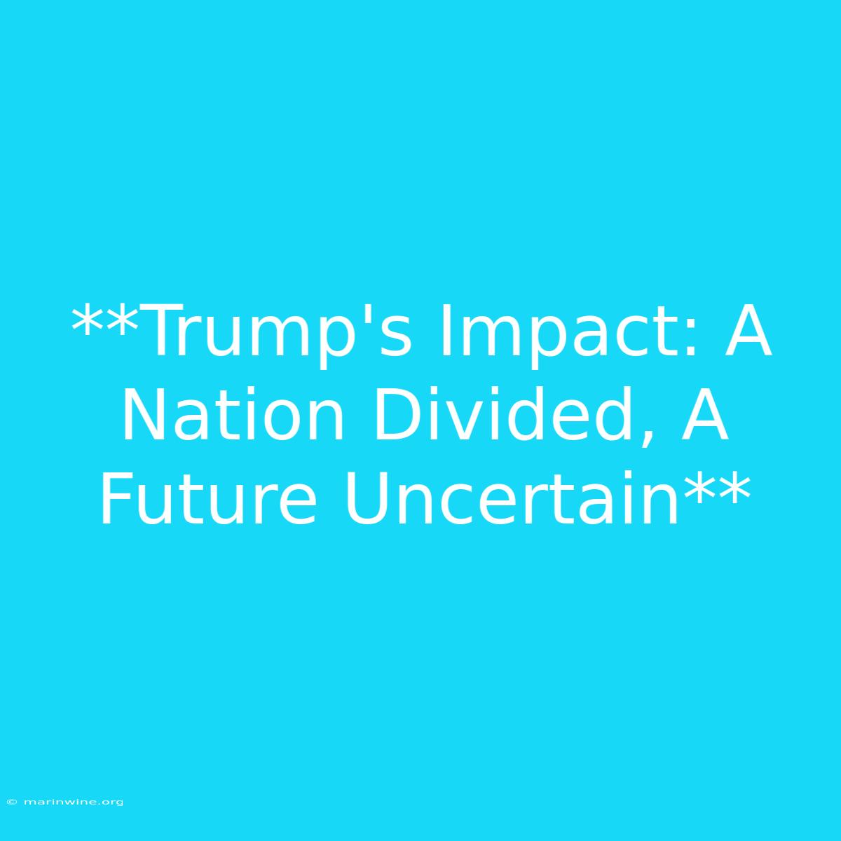 **Trump's Impact: A Nation Divided, A Future Uncertain**