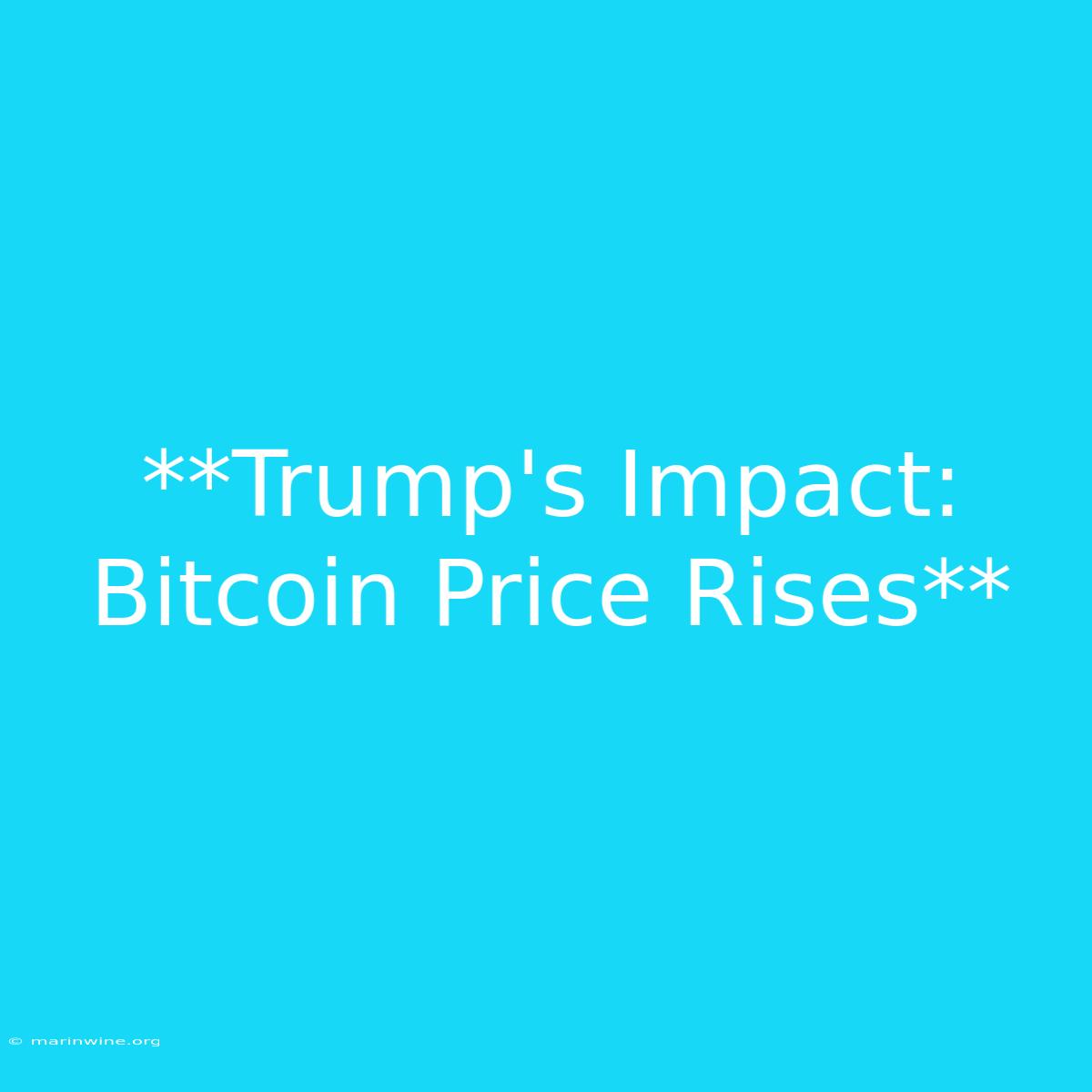 **Trump's Impact: Bitcoin Price Rises**