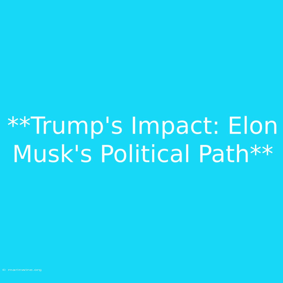 **Trump's Impact: Elon Musk's Political Path** 