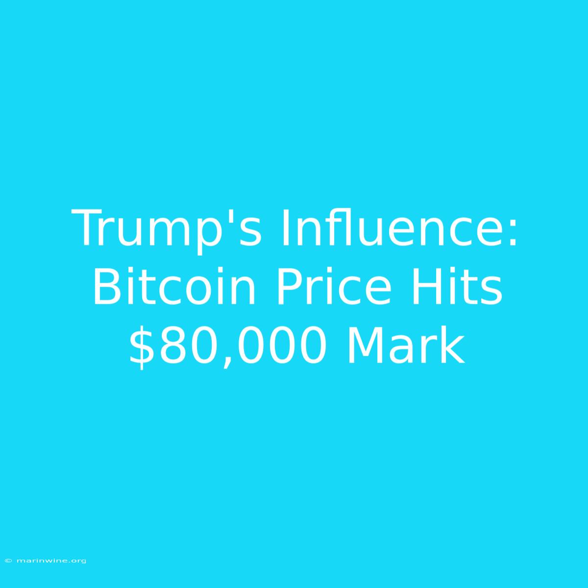 Trump's Influence: Bitcoin Price Hits $80,000 Mark 