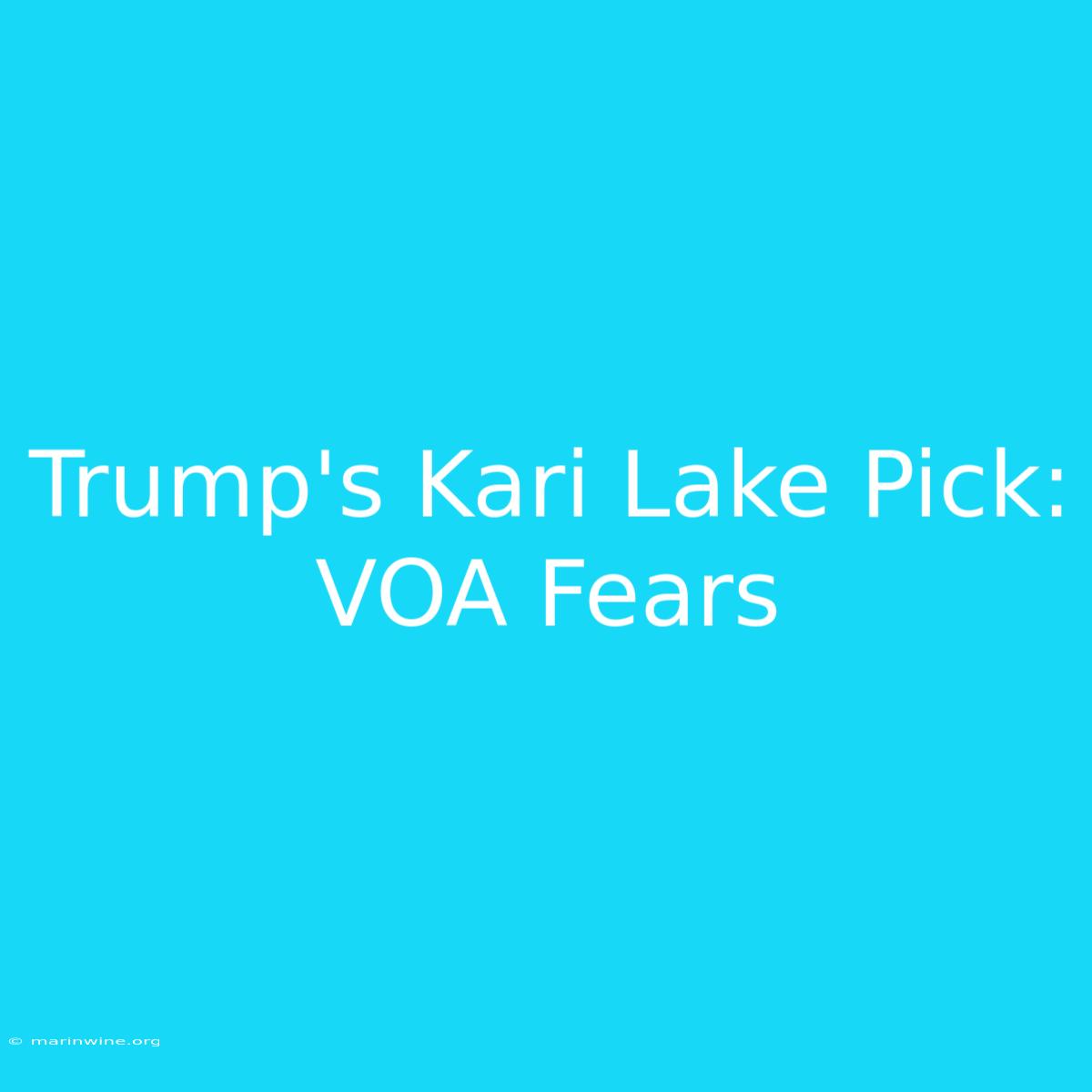 Trump's Kari Lake Pick: VOA Fears