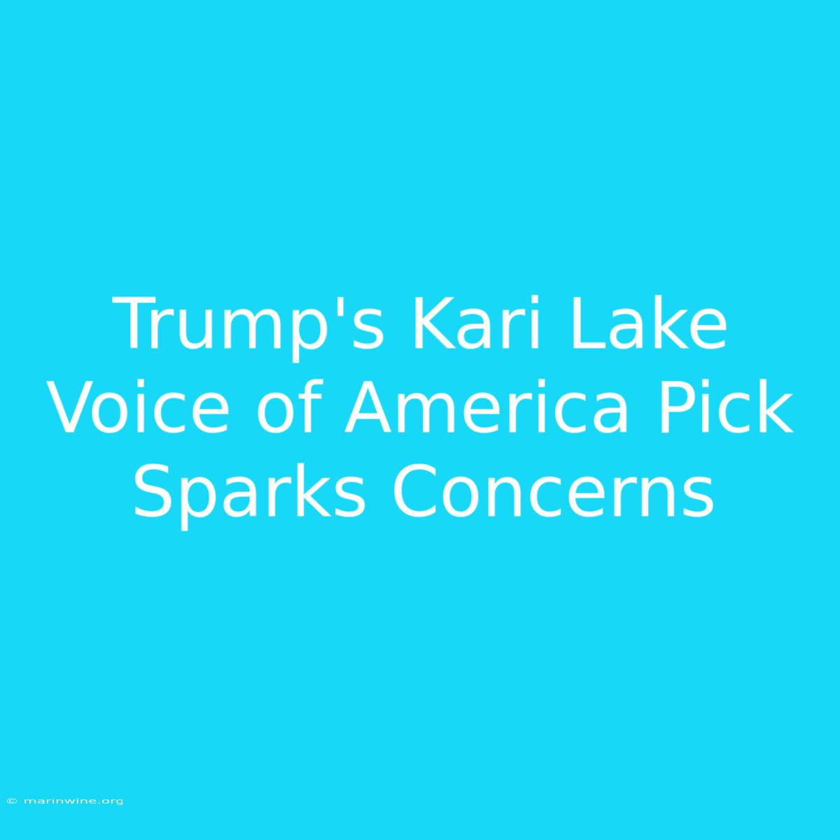 Trump's Kari Lake Voice Of America Pick Sparks Concerns