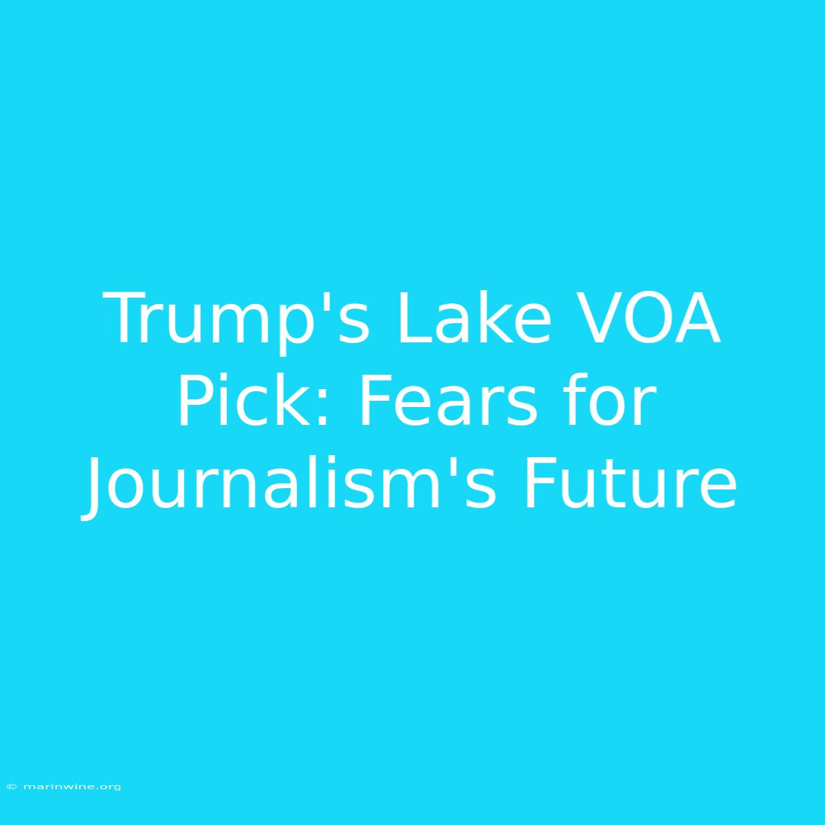 Trump's Lake VOA Pick: Fears For Journalism's Future