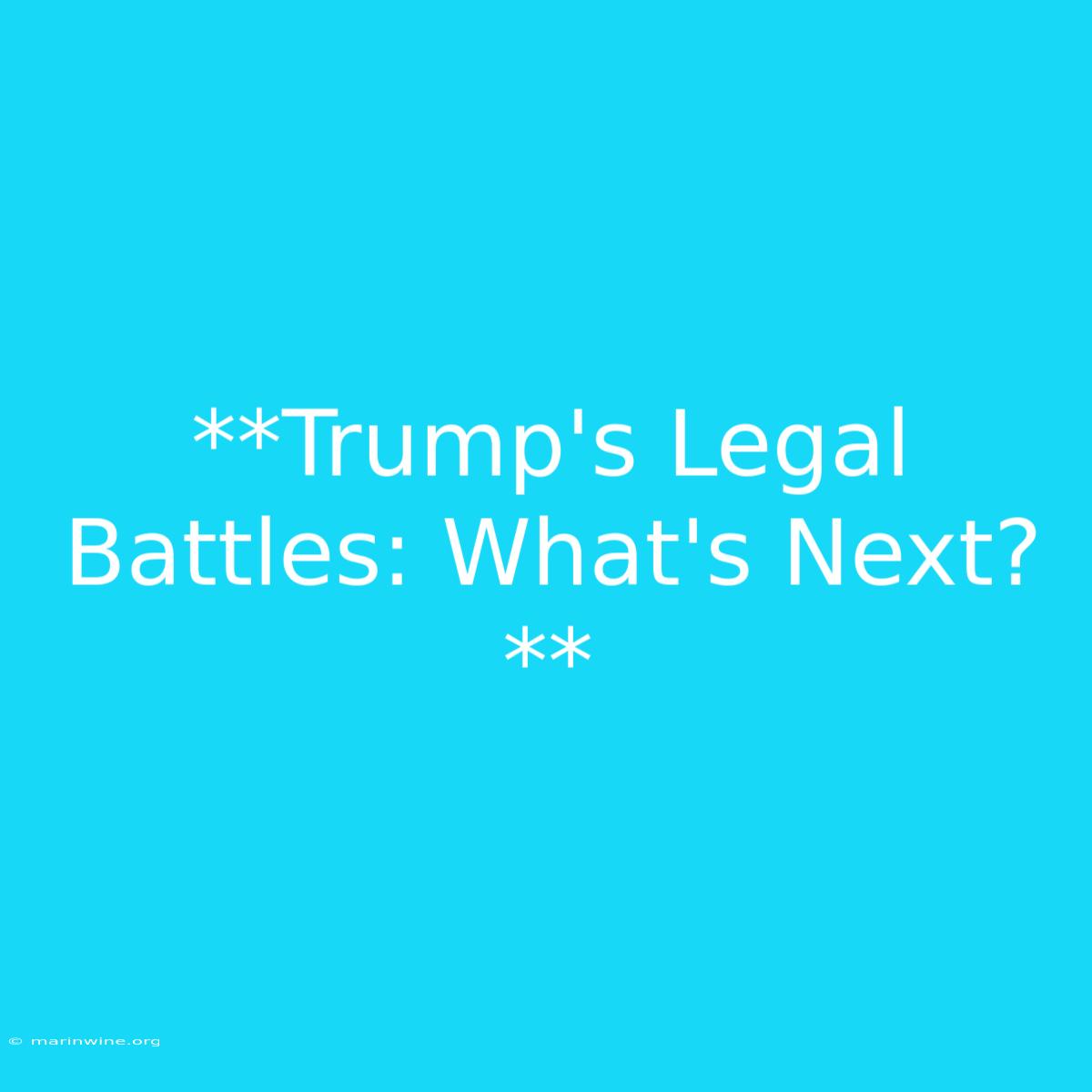 **Trump's Legal Battles: What's Next?** 