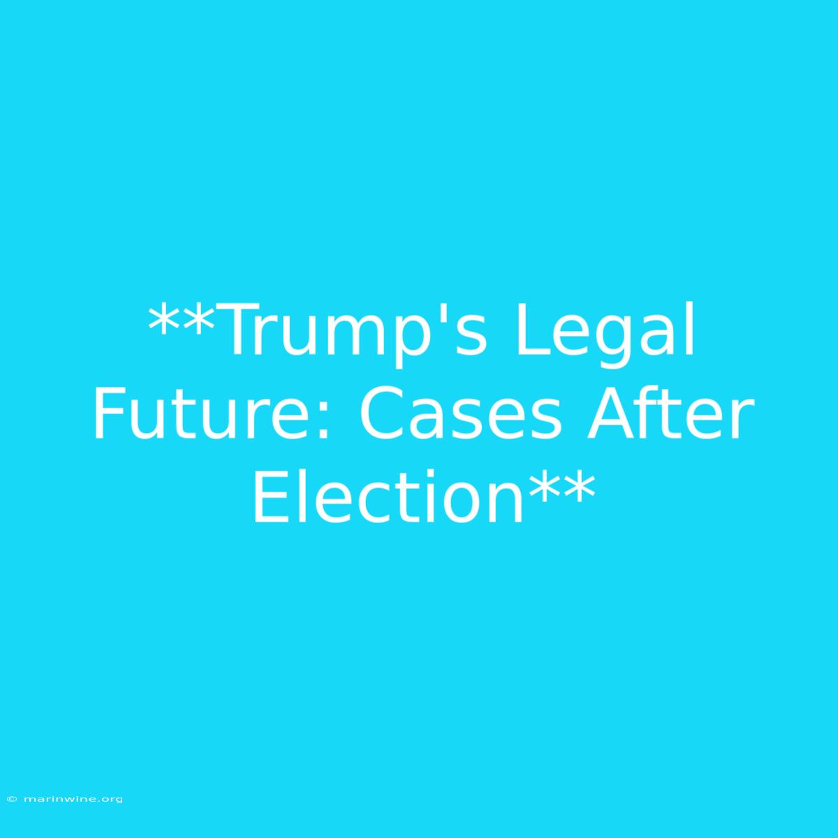 **Trump's Legal Future: Cases After Election** 