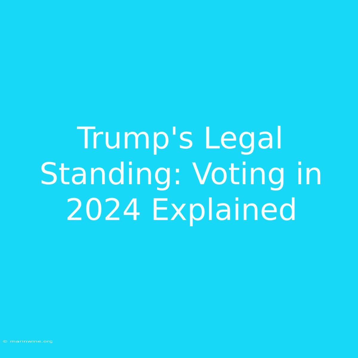 Trump's Legal Standing: Voting In 2024 Explained