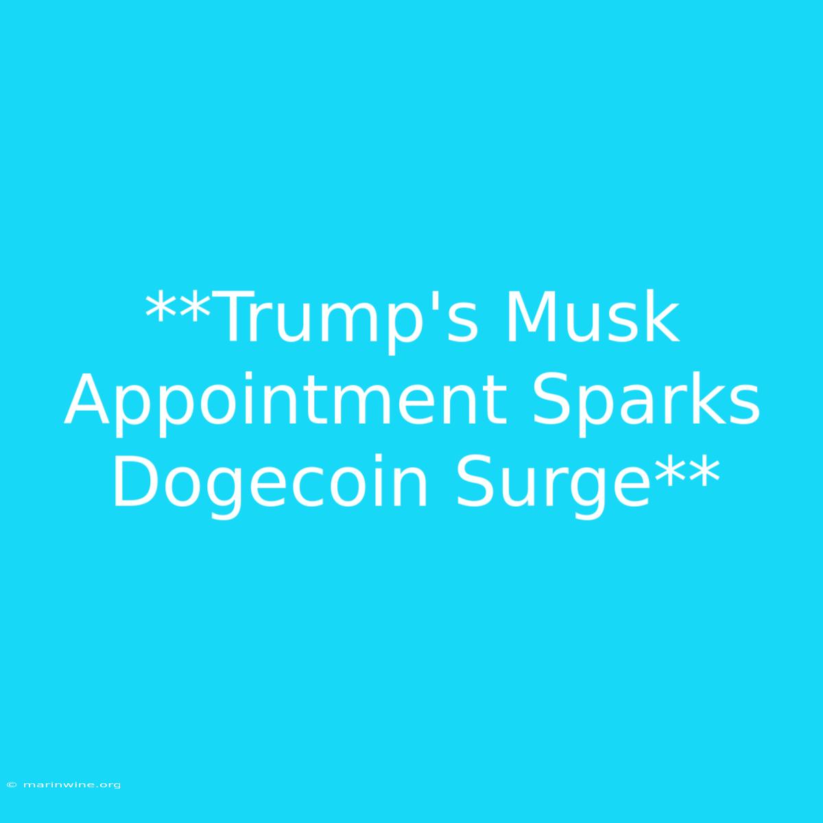 **Trump's Musk Appointment Sparks Dogecoin Surge** 