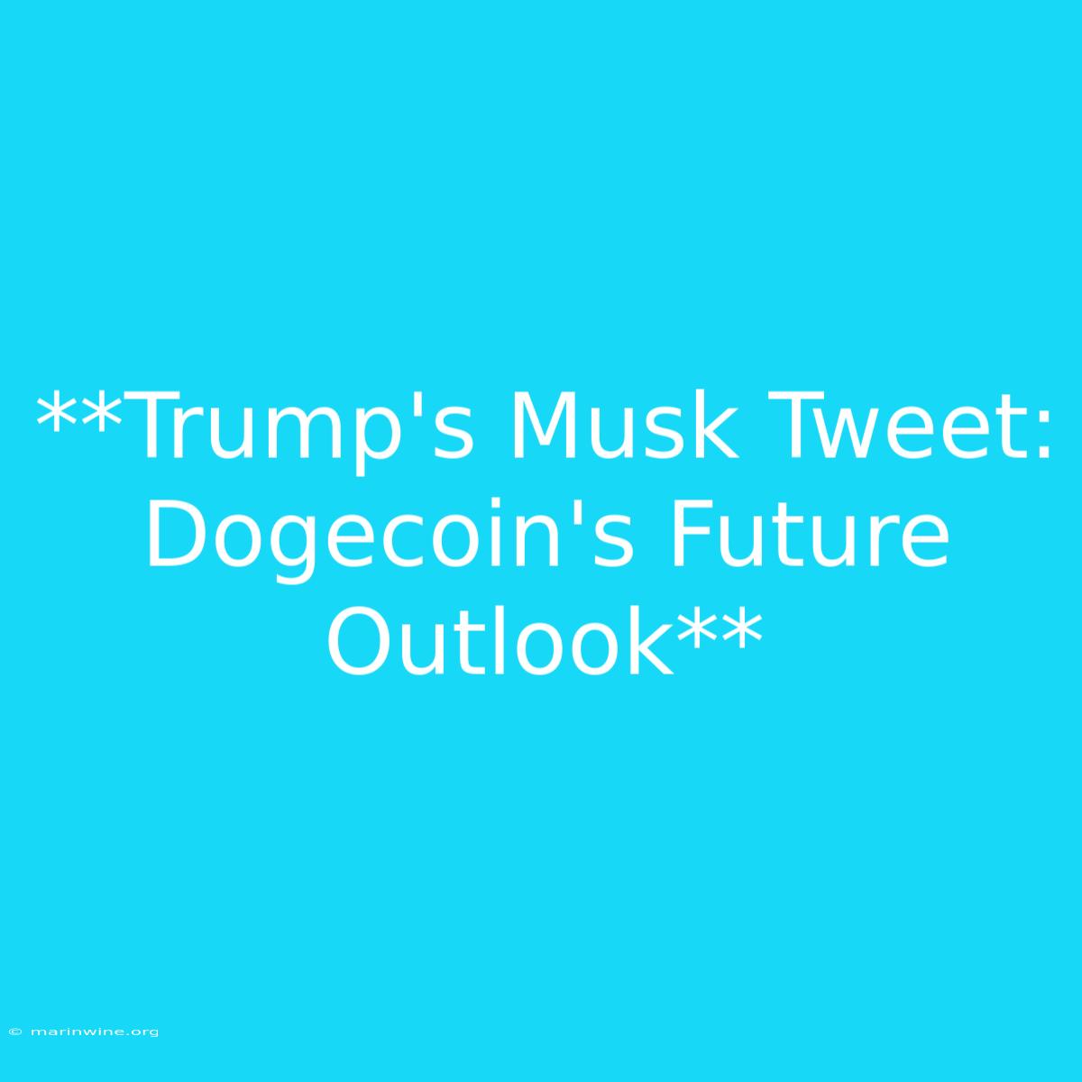 **Trump's Musk Tweet: Dogecoin's Future Outlook**