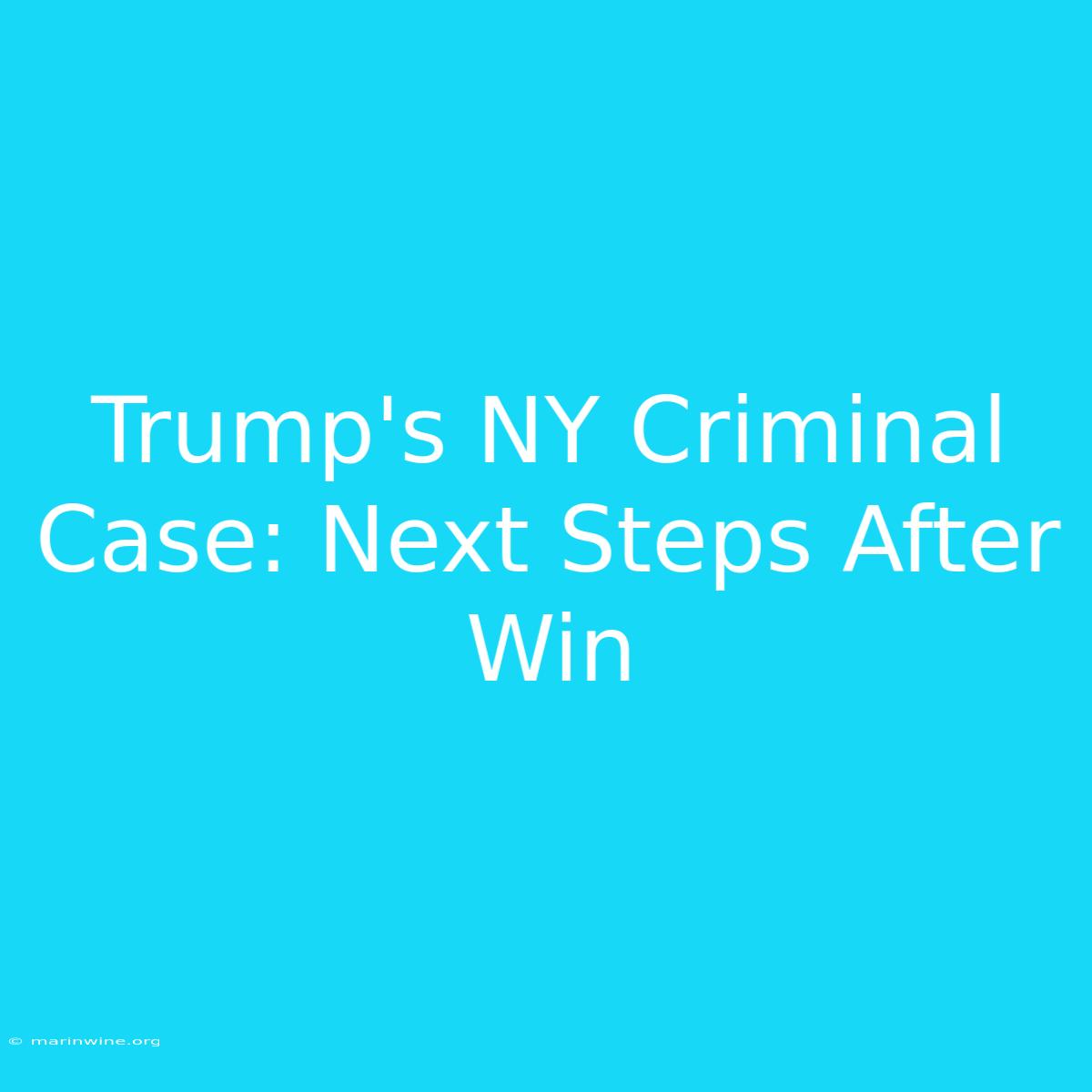 Trump's NY Criminal Case: Next Steps After Win 