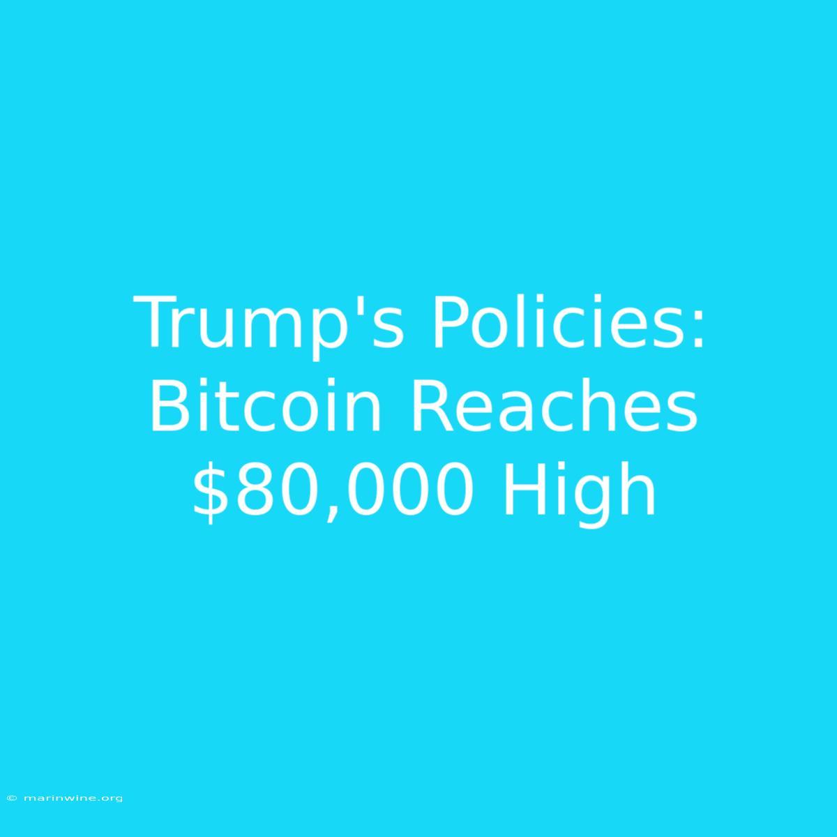 Trump's Policies: Bitcoin Reaches $80,000 High