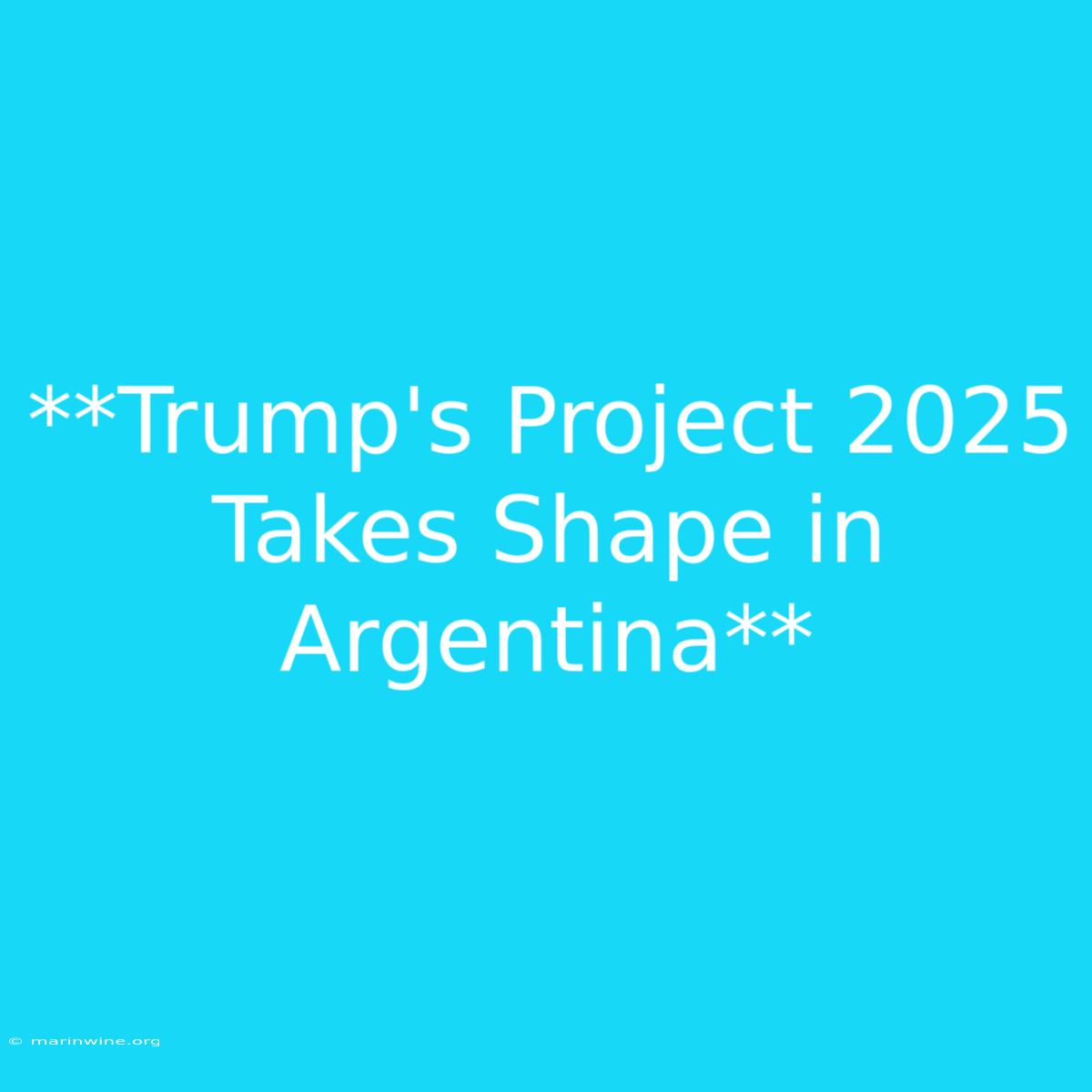 **Trump's Project 2025 Takes Shape In Argentina** 