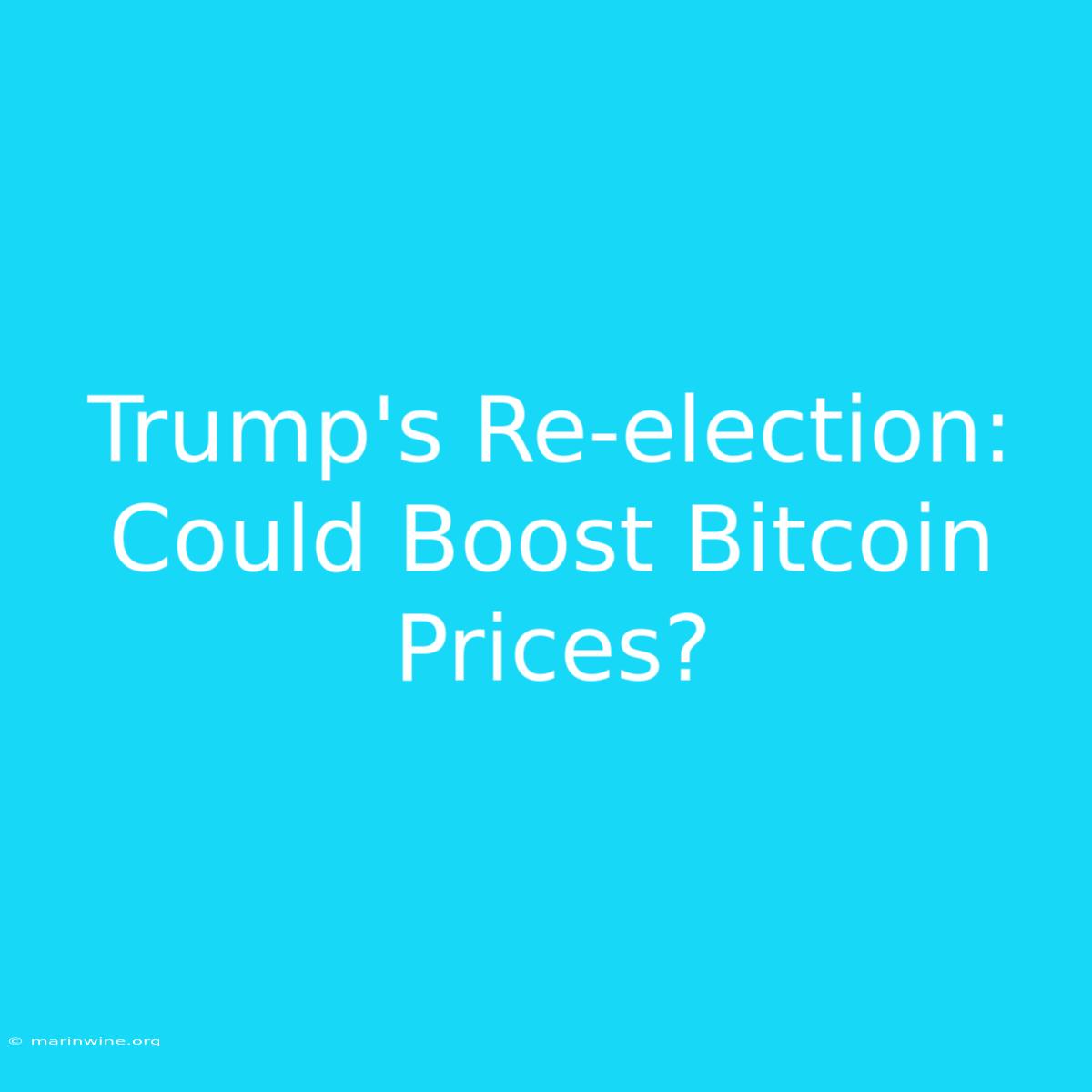 Trump's Re-election: Could Boost Bitcoin Prices? 