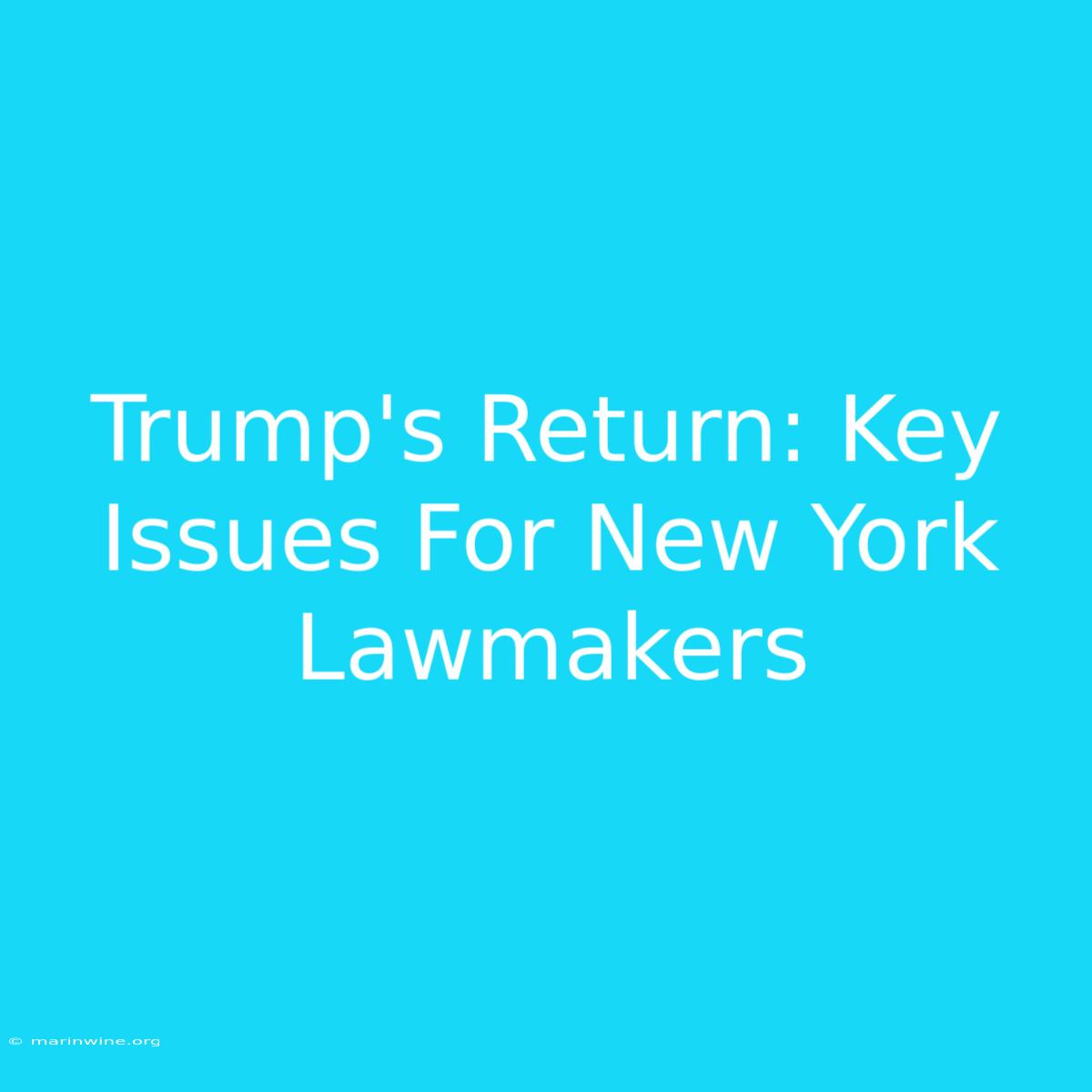 Trump's Return: Key Issues For New York Lawmakers