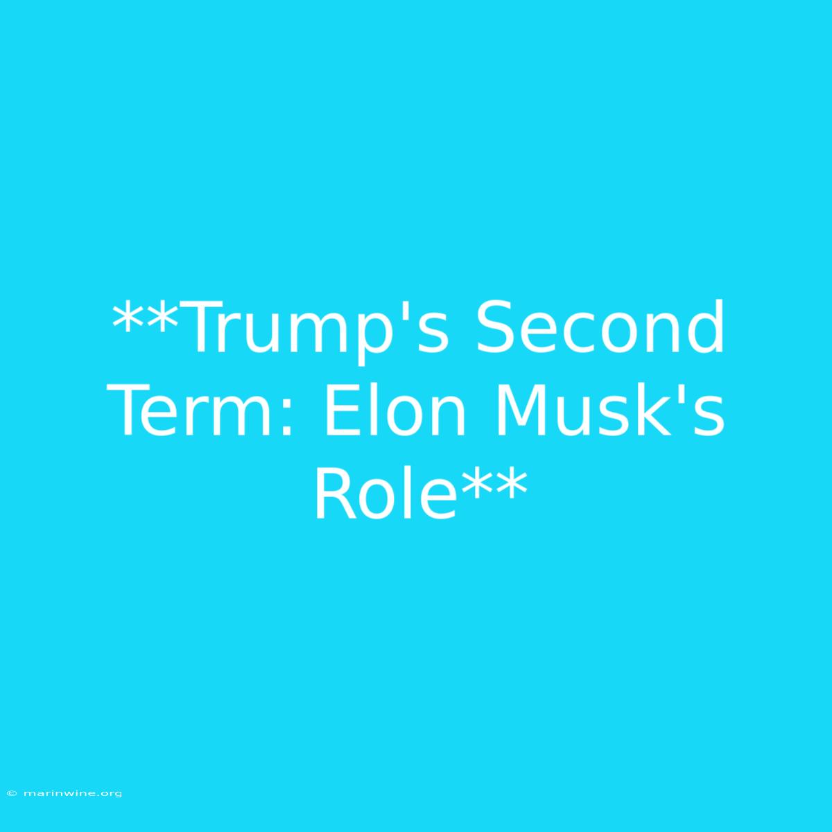 **Trump's Second Term: Elon Musk's Role**