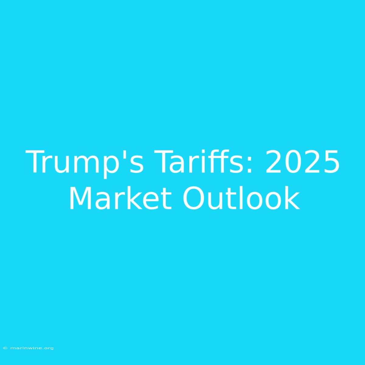 Trump's Tariffs: 2025 Market Outlook