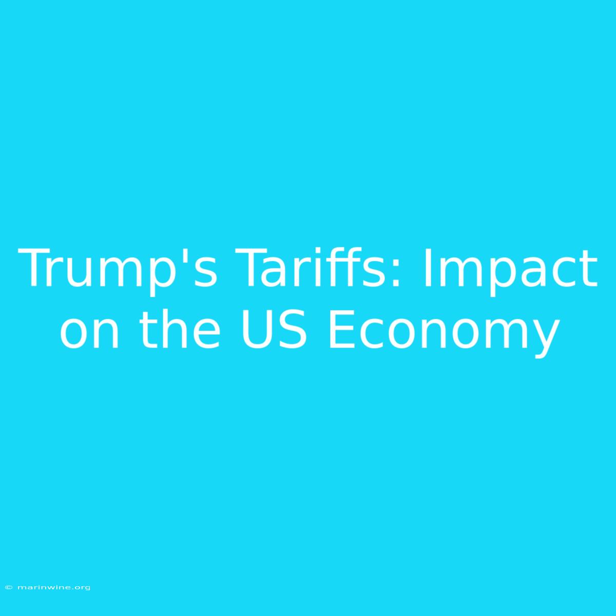 Trump's Tariffs: Impact On The US Economy