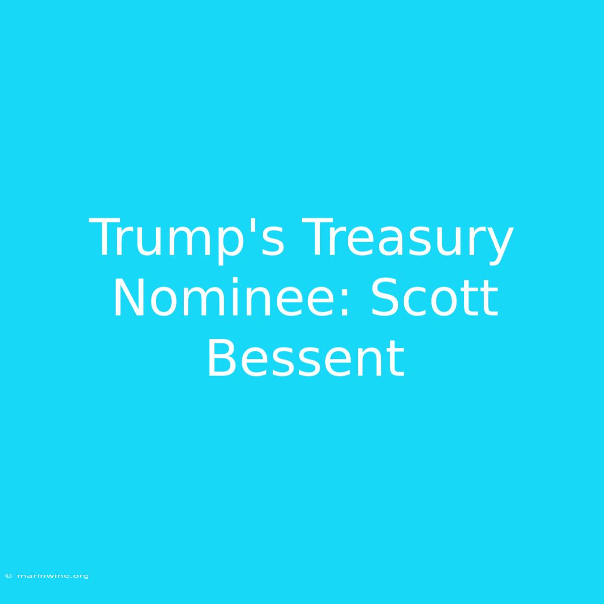 Trump's Treasury Nominee: Scott Bessent