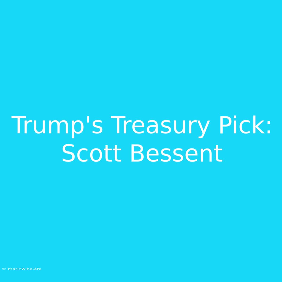 Trump's Treasury Pick: Scott Bessent